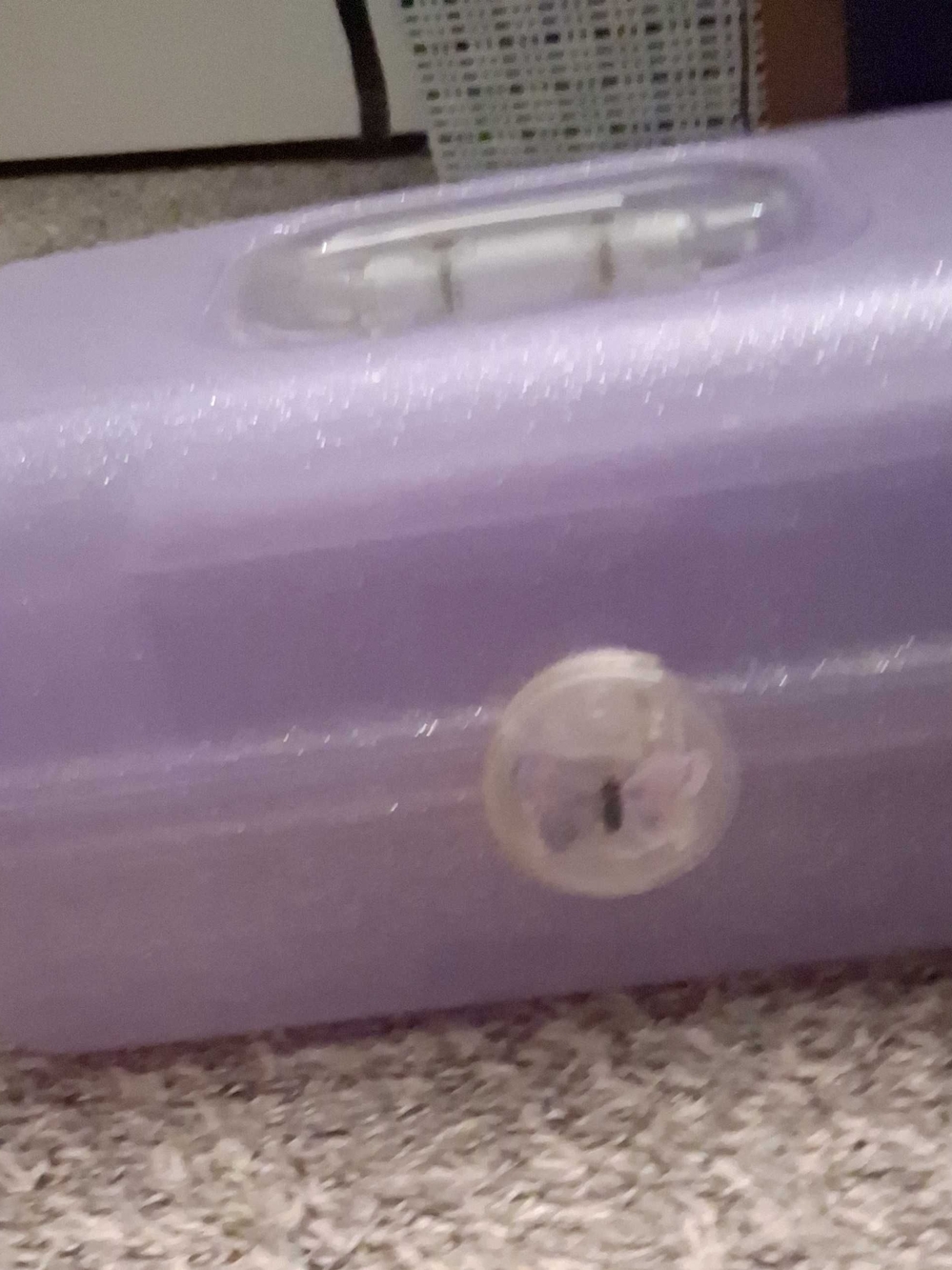Caboodles Lavender Cosmetic Case with Butterfly Accent